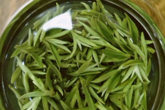 什么綠茶茶葉唇齒留香，哪個品種綠茶香氣好？