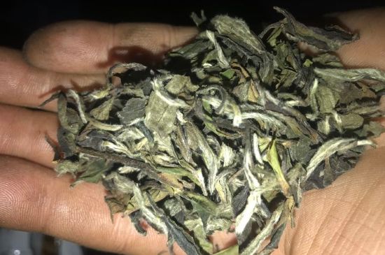 7年壽眉和2年白牡丹哪個好，老白茶壽眉與白牡丹的口感區(qū)別