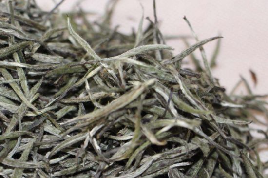 什么人不能喝白茶，白茶不宜什么人喝？