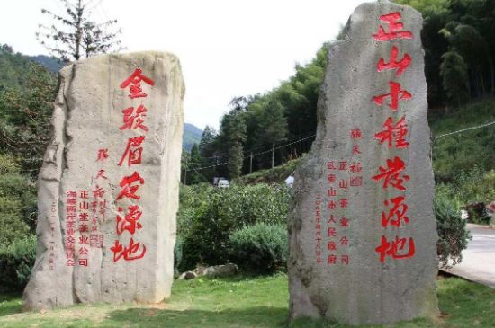 300塊錢的金駿眉能喝嗎，兩三百多金駿眉和一千多區(qū)別