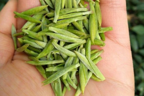 什么綠茶味道濃香，那個綠茶比較濃香？