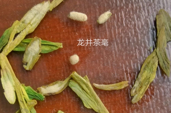 西湖龍井茶毫和發(fā)霉區(qū)別圖片，長霉的龍井茶葉會是什么樣？