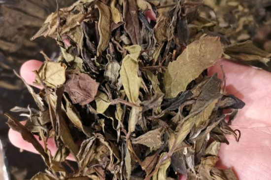 新舊白茶怎么區(qū)分，怎么分辨白茶是新還是舊