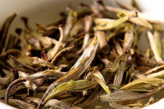 荒野銀針市場價多少，真正的荒野白毫銀針多少錢？