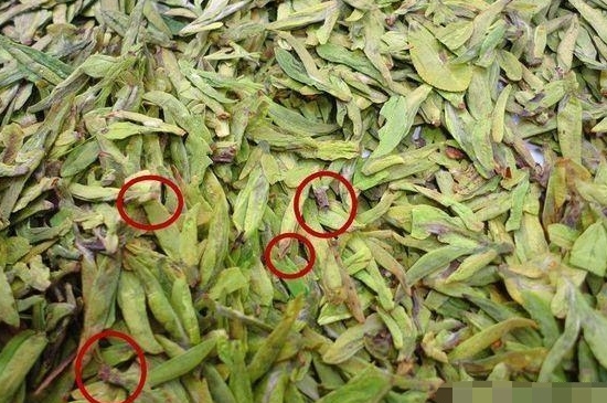 烏牛早和龍井的區(qū)別圖片，龍井43號(hào)和烏牛早茶的對(duì)比