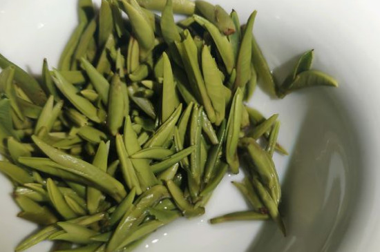 竹葉青茶怎么泡，竹葉青如何沖泡