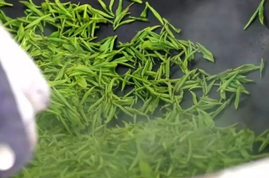 碧螺春為什么泡水渾濁，碧螺春茶葉泡水感覺(jué)很臟是混濁的