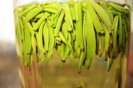 雀舌為何喝著是苦的，雀舌味道怎么那么苦澀？